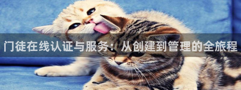 pg国际app官方