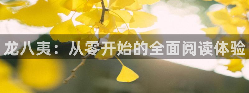 pg国际官网入口