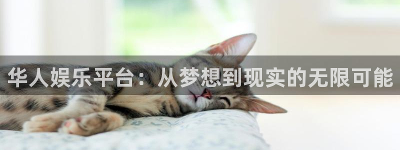 pg免费游戏试玩网页版