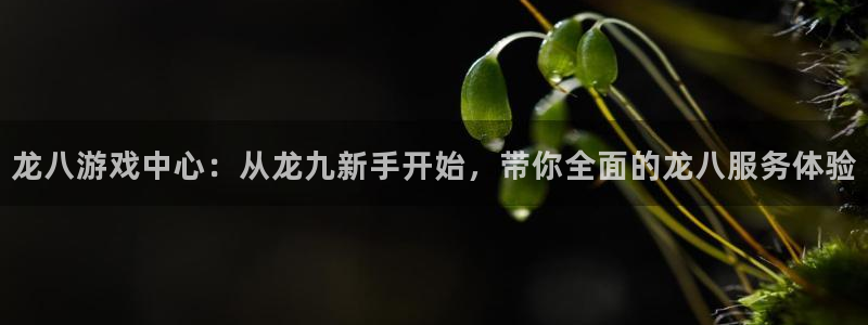 pg电子平台官网入口