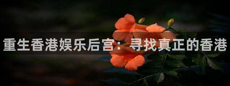 pg麻将胡了的技巧