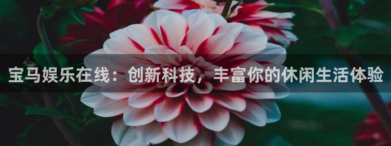 pg赏金女王40倍