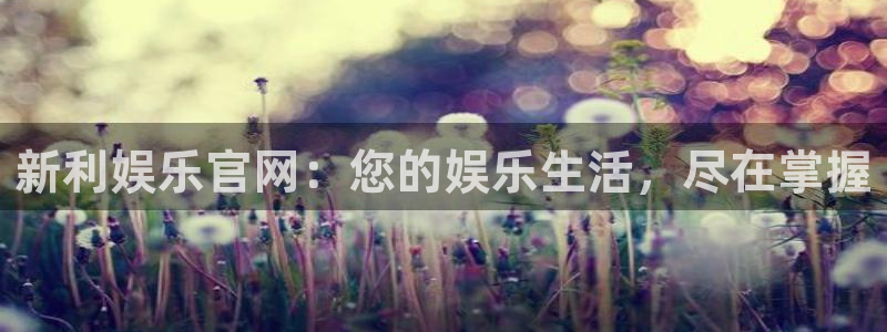 pg电子游戏网站模拟器