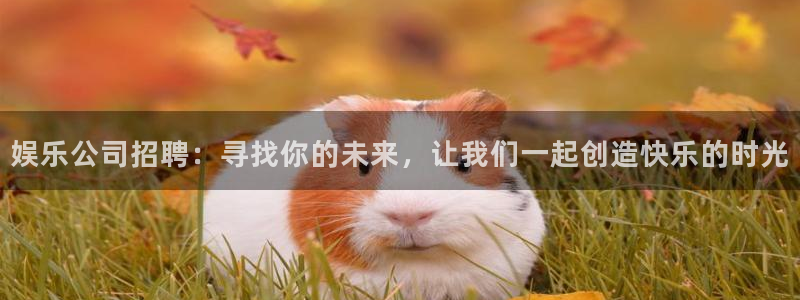 模拟器pg赏金女王：娱乐公司招聘：寻找你的未来，让我们一起创造快乐的时光