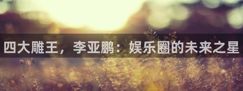 pg麻将胡了大奖视频：四大雕王，李亚鹏：娱乐圈的未来之星
