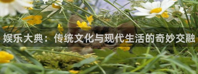 pg免费游戏试玩网页版：娱乐大典：传统文化与现代生活的奇妙交融