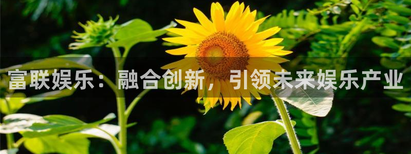 pg电子机器：富联娱乐：融合创新，引领未来娱乐产业
