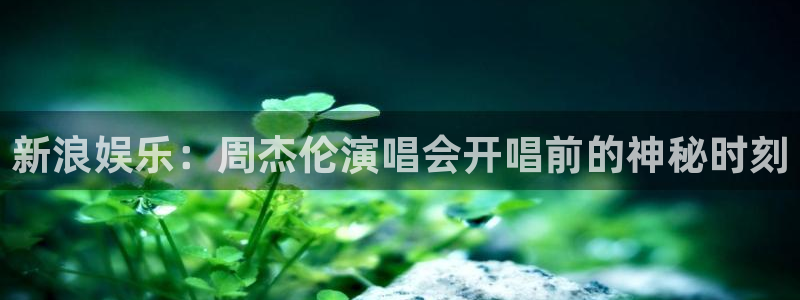 pg电子游戏模拟器连接：新浪娱乐：周杰伦演唱会开唱前的神秘时刻