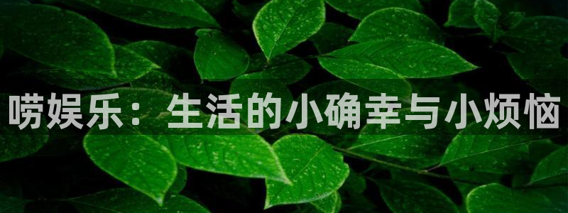 pg电子麻将胡了口诀：唠娱乐：生活的小确幸与小烦恼