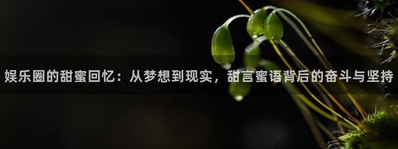 pg软件app下载：娱乐圈的甜蜜回忆：从梦想到现实，甜言蜜语背后的奋斗与坚持