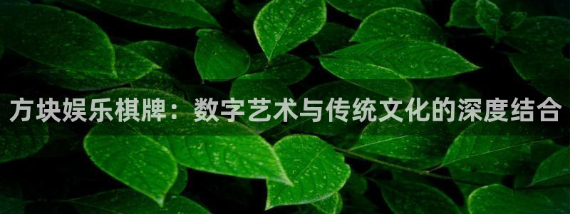 pg电子游戏模拟器网站：方块娱乐棋牌：数字艺术与传统文化的深度结合