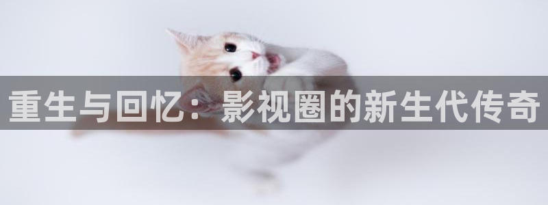 pg电子模拟器免费赏金女王：重生与回忆：影视圈的新生代传奇