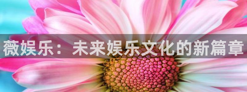 高爆pg电子网站推荐：薇娱乐：未来娱乐文化的新篇章
