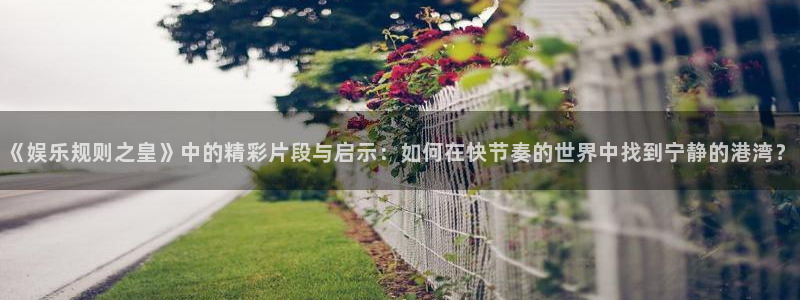 pg电子青龙出海豪华版：《娱乐规则之皇》中的精彩片段与启示：如何在快节奏的世界中找到宁静的港湾？