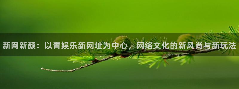 pg模拟器在线试玩：新网新颜：以青娱乐新网址为中心，网络文化的新风尚与新玩法