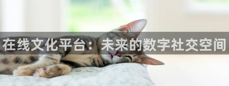 pg电子33pg：在线文化平台：未来的数字社交空间