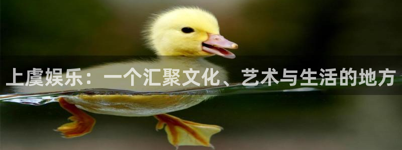 麻将胡了pg爆分视频：上虞娱乐：一个汇聚文化、艺术与生活的地方