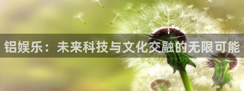 pg模拟器免费版赏金女王：铝娱乐：未来科技与文化交融的无限可能