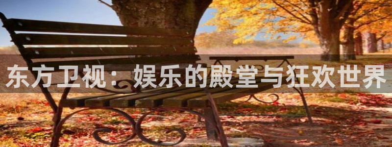 pg模拟器麻将胡了：东方卫视：娱乐的殿堂与狂欢世界
